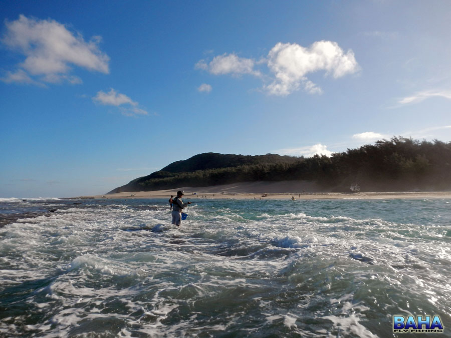 Braving the ledges under water