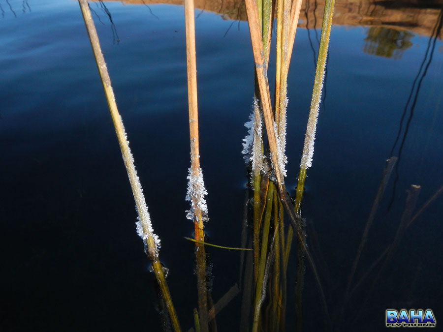 Chilly starts on the dams