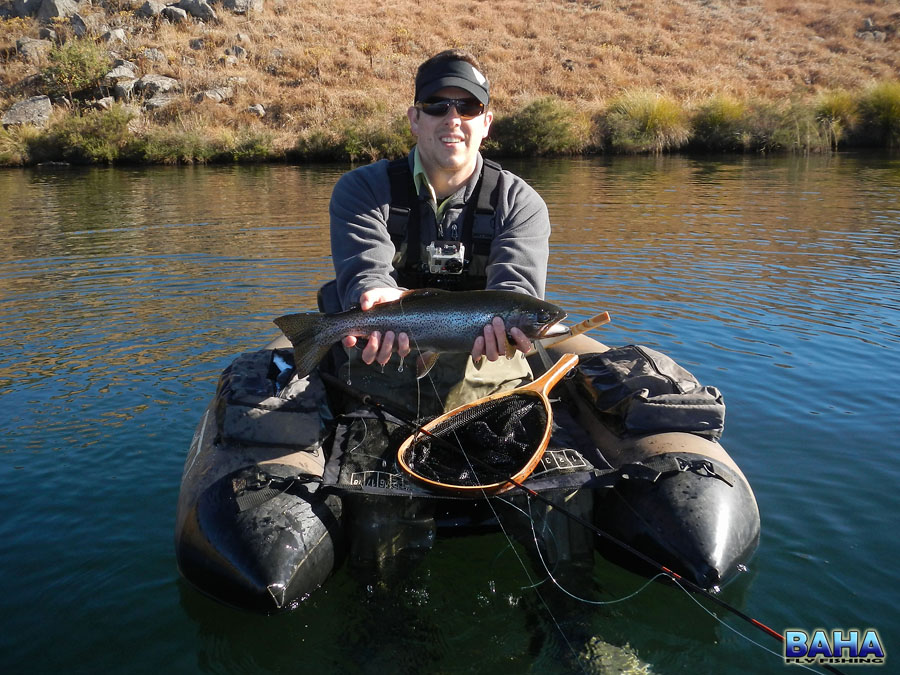A rainbow trout I caught at Star Dam
