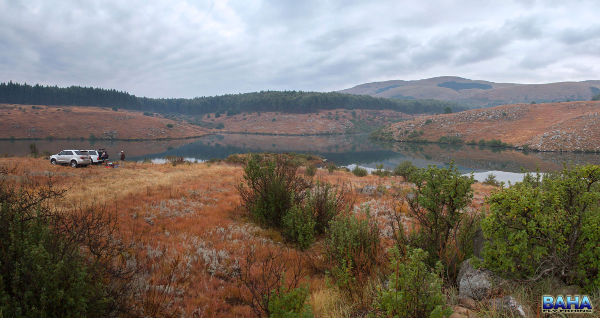Star Dam